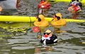 Maschseefest2014   752